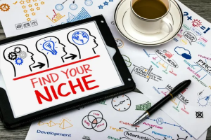 Make a business plan and pick a market niche