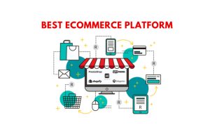 Pick the top e-commerce platform