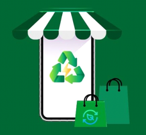 Environmental Sustainability in E-commerce