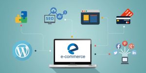 Create a E-commerce Website