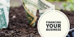 Financing your business