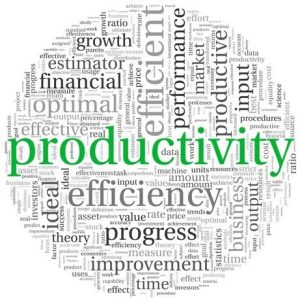 Business Productivity and its Importance