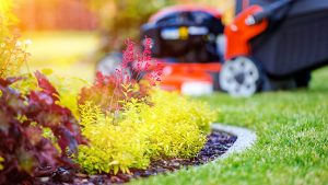 Horticulture Business