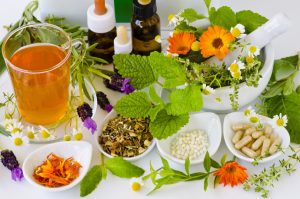 Ayurvedic and Herbal Stores