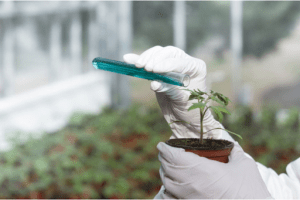 Agrochemicals Manufacturing