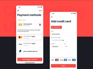 Mobile Payment Options