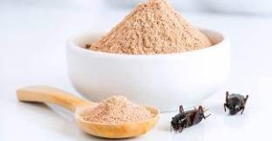 Insect-Based Protein Products