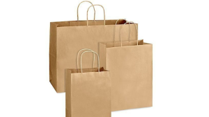 Paper Bag Making Business