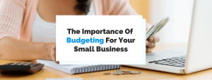 Small business needs a budget