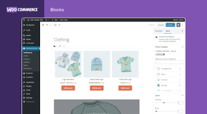 Woo commerce store builder
