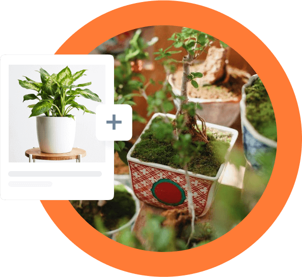 mobile-friendly website for a plant nursery