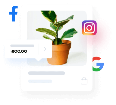 Share the plant nursery website on social media to boost sales.
