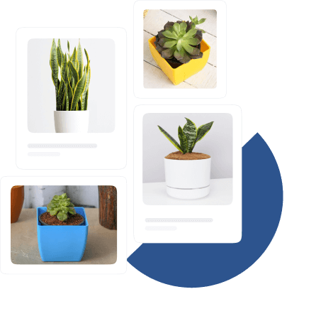pre-made attractive templates for plant nursery website.