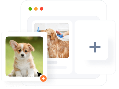 Add your pets in your pet breeders website to boost sales.
                            