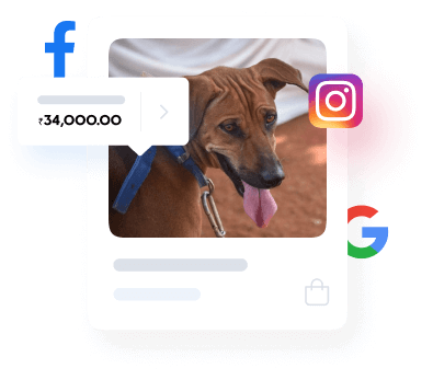 Share your pet shop website on social media to increase customer reach.
                            