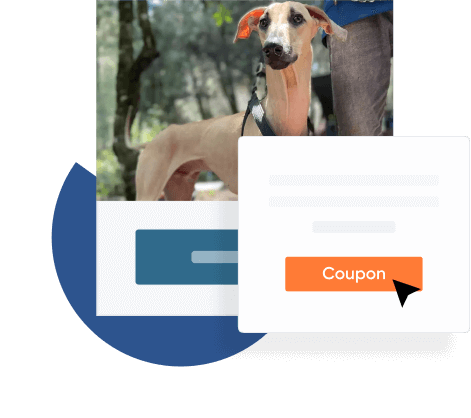Coupons are available for purchasing pet shop websites.
                            